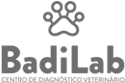 BadiLab